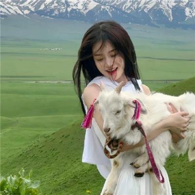 尼尔·布伦南:无与伦比